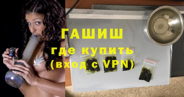 прущие грибы Гусиноозёрск