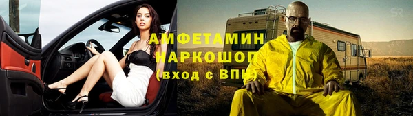прущие грибы Гусиноозёрск