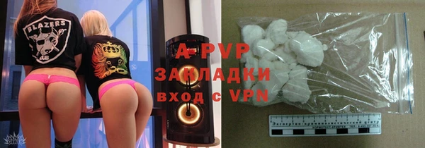 прущие грибы Гусиноозёрск
