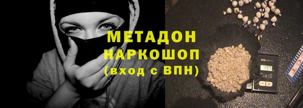 прущие грибы Гусиноозёрск