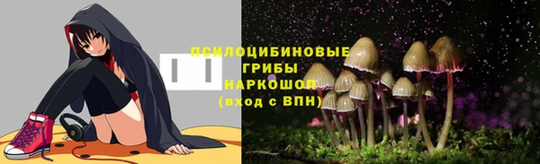 молекула духа Гусев