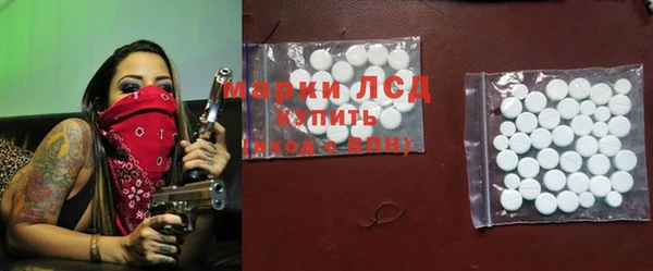 прущие грибы Гусиноозёрск