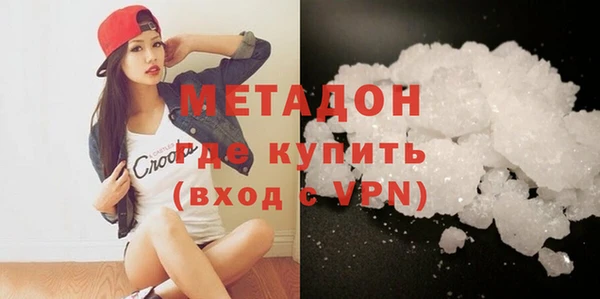 прущие грибы Гусиноозёрск