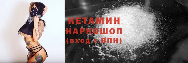прущие грибы Гусиноозёрск
