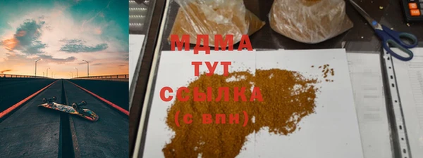 прущие грибы Гусиноозёрск