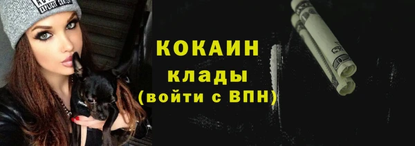 молекула духа Гусев