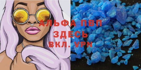 молекула духа Гусев