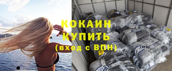 молекула духа Гусев