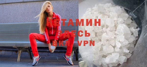 прущие грибы Гусиноозёрск