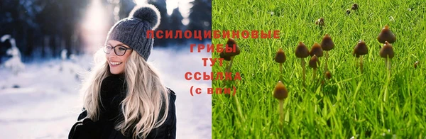 молекула духа Гусев